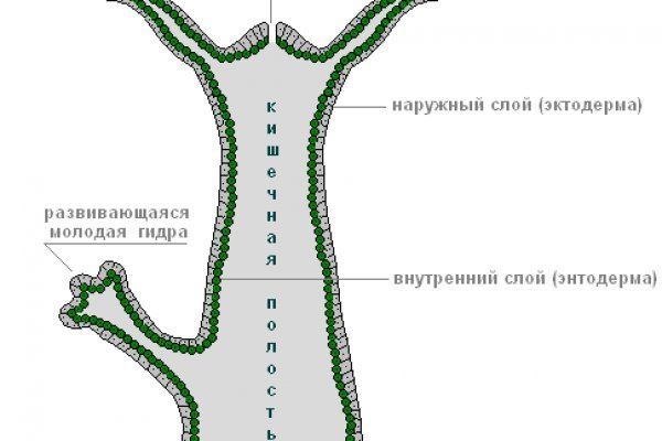 Кракен сайт зеркало рабочее на сегодня