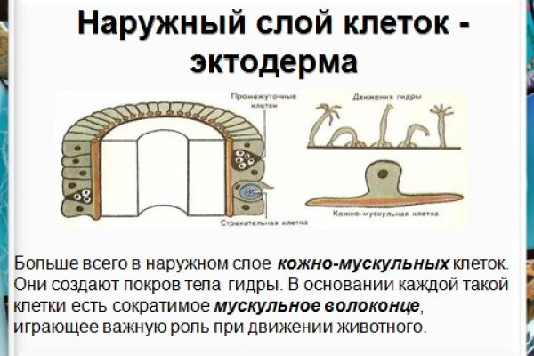 Кракен это современный даркнет маркет плейс