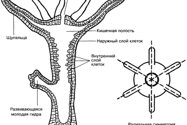 Kraken ссылка kraken014 com